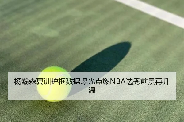 杨瀚森夏训护框数据曝光点燃NBA选秀前景再升温